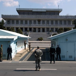 DMZ 땅 전체